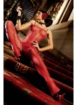 Red Lace Bodystocking